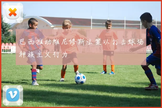 巴西推动维尼修斯法案以打击球场种族主义行为