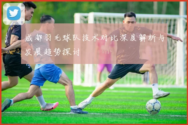成都羽毛球队技术对比深度解析与发展趋势探讨