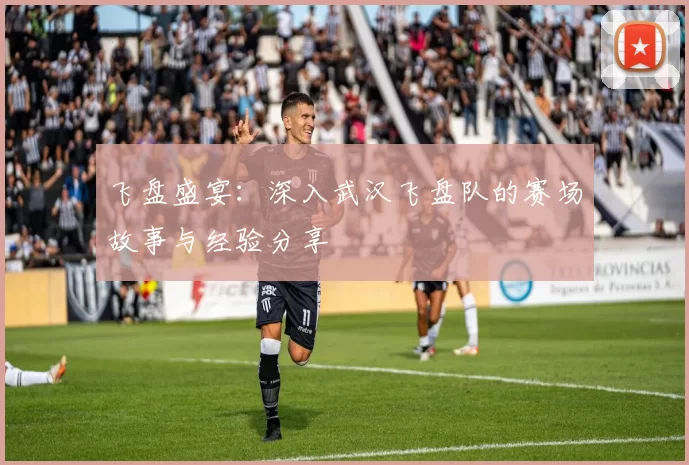 飞盘盛宴：深入武汉飞盘队的赛场故事与经验分享