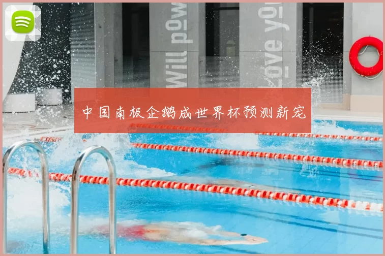中国南极企鹅成世界杯预测新宠