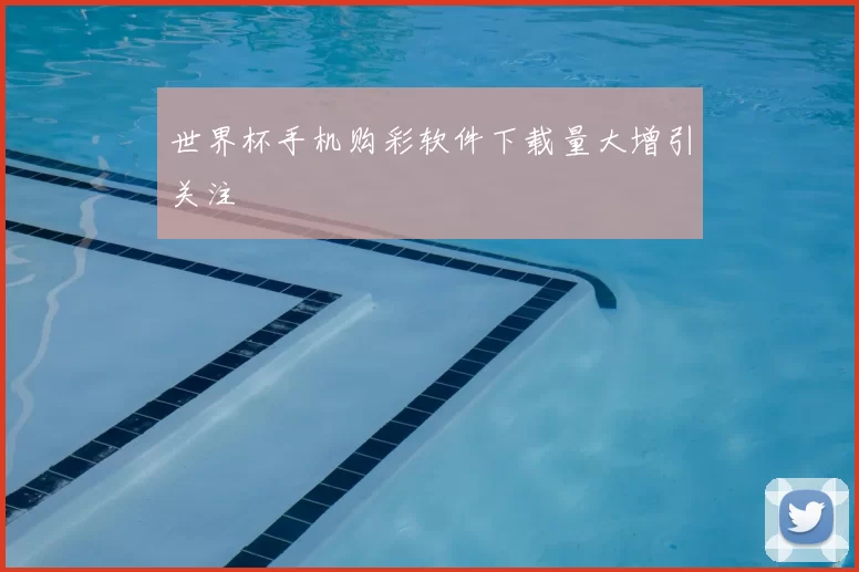 世界杯手机购彩软件下载量大增引关注