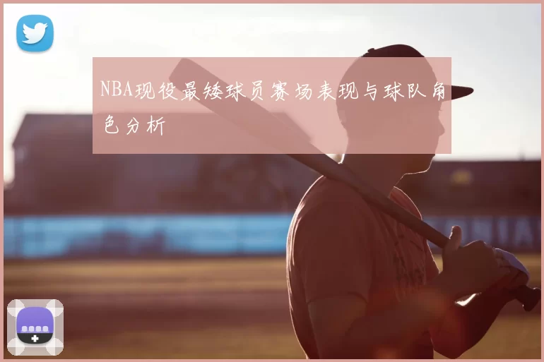 NBA现役最矮球员赛场表现与球队角色分析