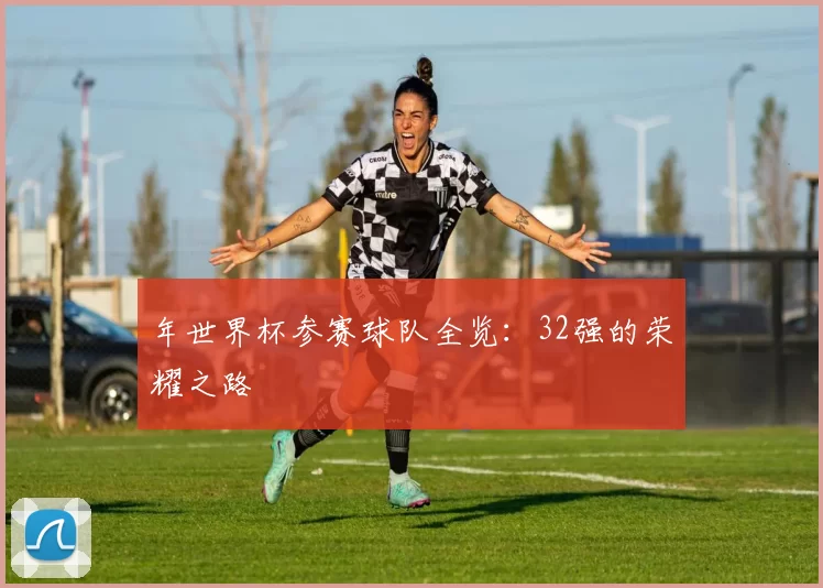 年世界杯参赛球队全览：32强的荣耀之路