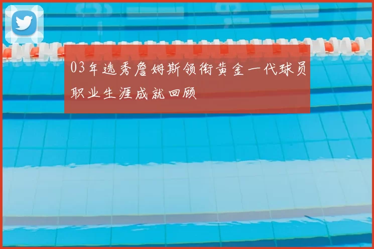 03年选秀詹姆斯领衔黄金一代球员职业生涯成就回顾