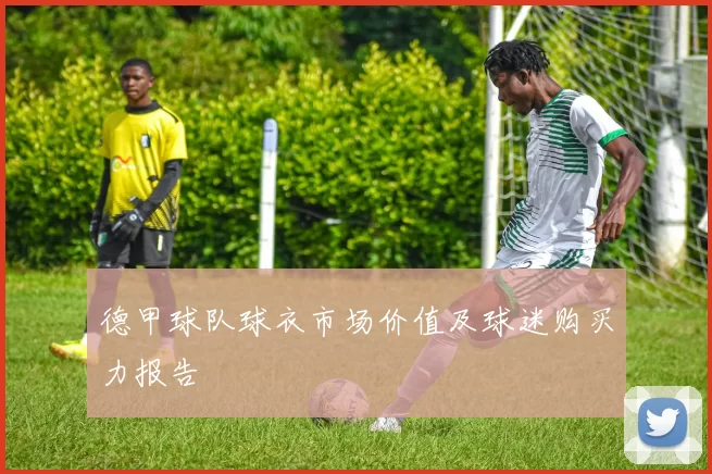 德甲球队球衣市场价值及球迷购买力报告