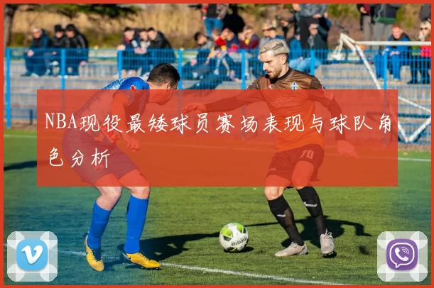 NBA现役最矮球员赛场表现与球队角色分析