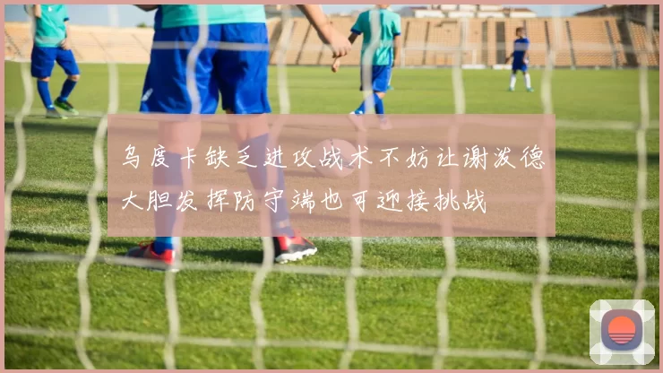 乌度卡缺乏进攻战术不妨让谢泼德大胆发挥防守端也可迎接挑战