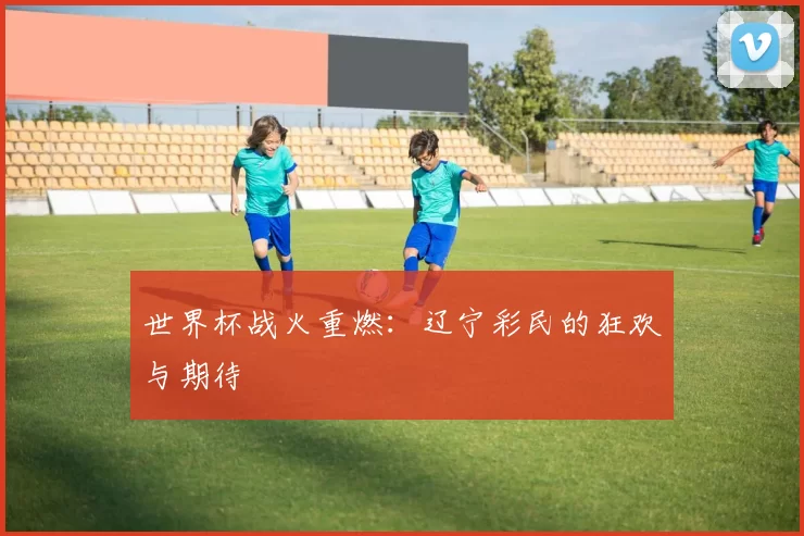 世界杯战火重燃：辽宁彩民的狂欢与期待
