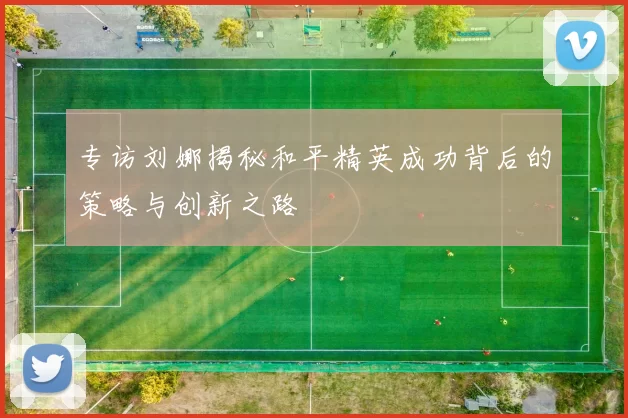 专访刘娜揭秘和平精英成功背后的策略与创新之路