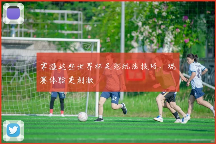 掌握这些世界杯足彩玩法技巧,观赛体验更刺激