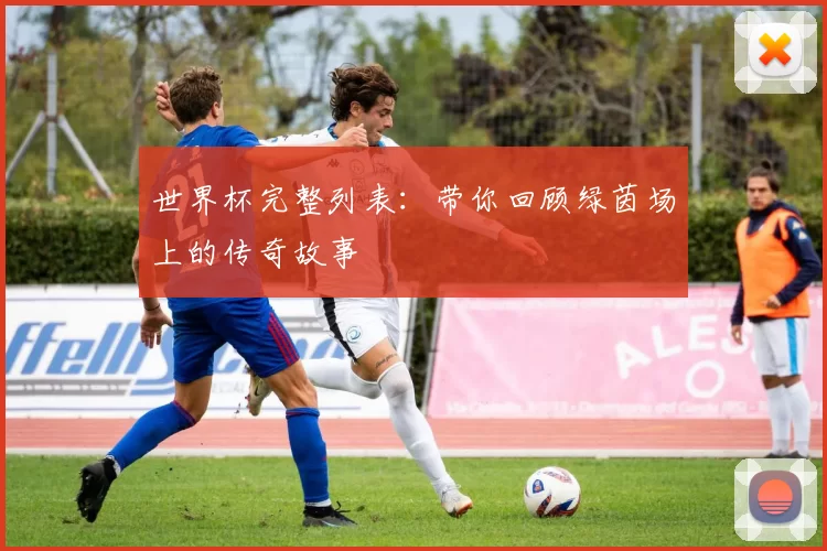 世界杯完整列表：带你回顾绿茵场上的传奇故事