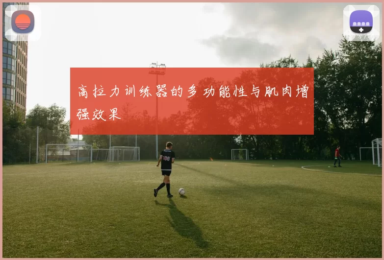 高拉力训练器的多功能性与肌肉增强效果