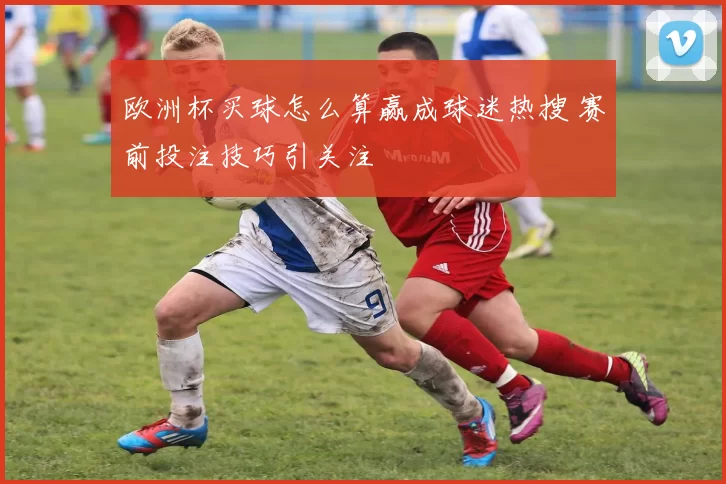 欧洲杯买球怎么算赢成球迷热搜 赛前投注技巧引关注