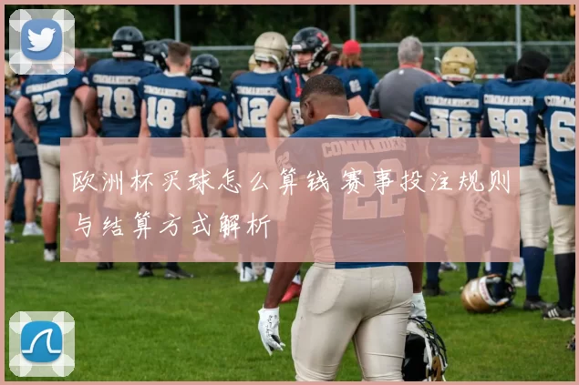 欧洲杯买球怎么算钱 赛事投注规则与结算方式解析